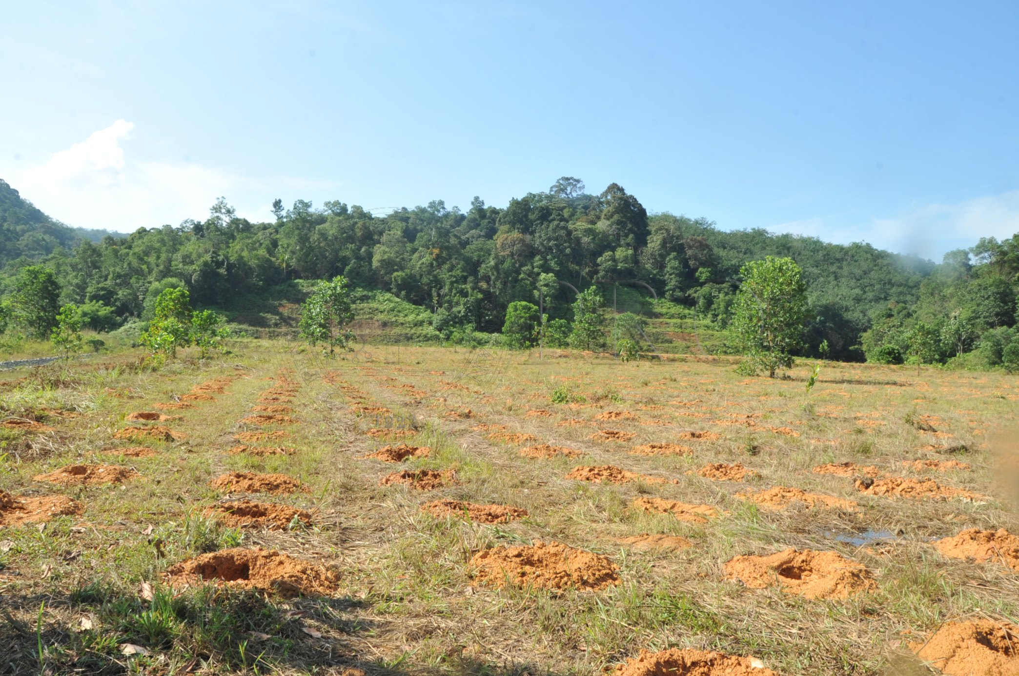 PRO 14 48 KARAS PRO 6785